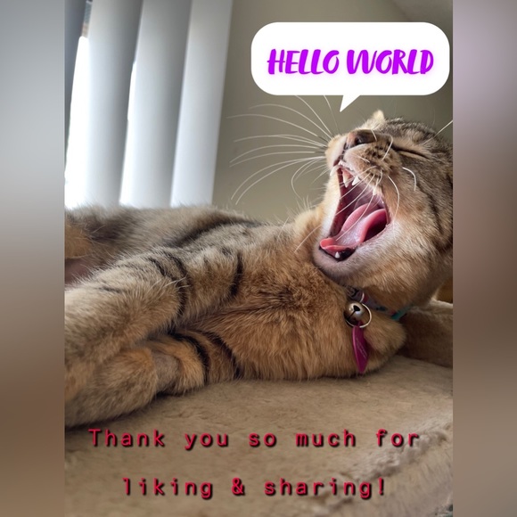 @Bluntbabe702 is LIVE, SHARING YOURS!! 🛍️ BAGS & ACCESSORIES 🛍️ - Picture 4 of 9